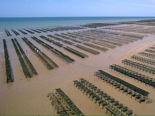 Les Pommiers Duplex Cosy Tout Confort Dans Maison Neuve Avec Terrasse Entree Independante 5 Mn De Bayeux Et 10 Mn Plage Du Debarquement Sommervieu Exteriér fotografie