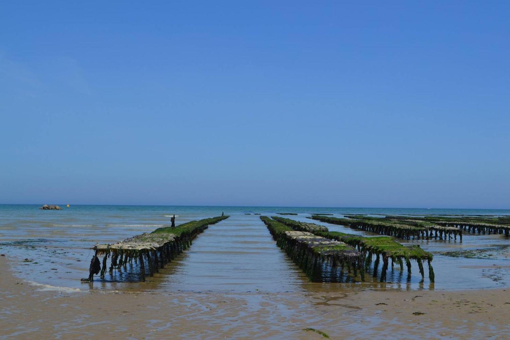 Les Pommiers Duplex Cosy Tout Confort Dans Maison Neuve Avec Terrasse Entree Independante 5 Mn De Bayeux Et 10 Mn Plage Du Debarquement Sommervieu Exteriér fotografie